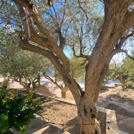 Luxury tent Cimarte The Path *