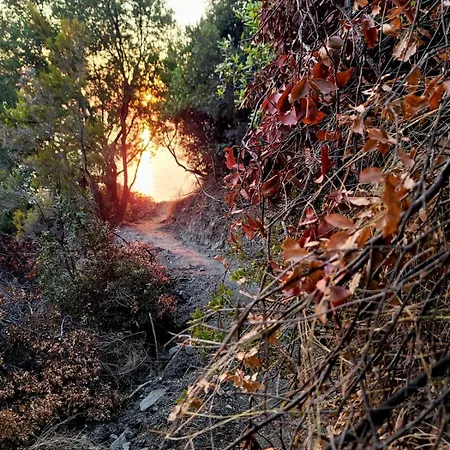 Cimarte The Path
