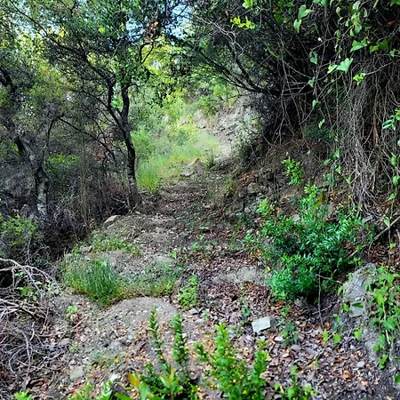 Cimarte The Path Glamping *