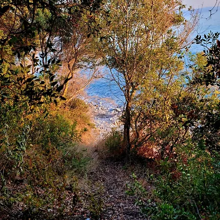 Cimarte The Path Lyxtält