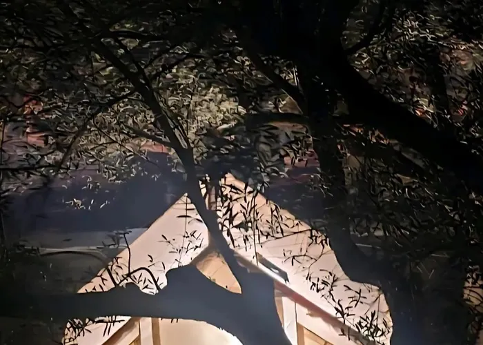 Cimarte The Path * Lukove