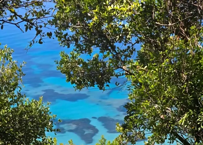 Luxury tent Cimarte The Path