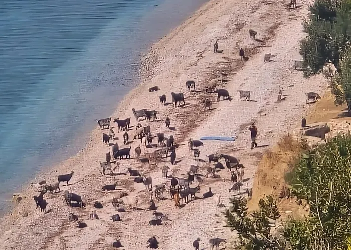 Luxury tent Cimarte The Path *