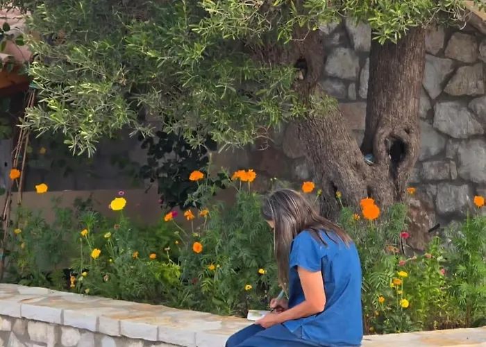 Cimarte The Path * Lukove