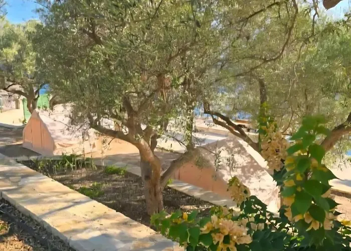 Cimarte The Path Lukove