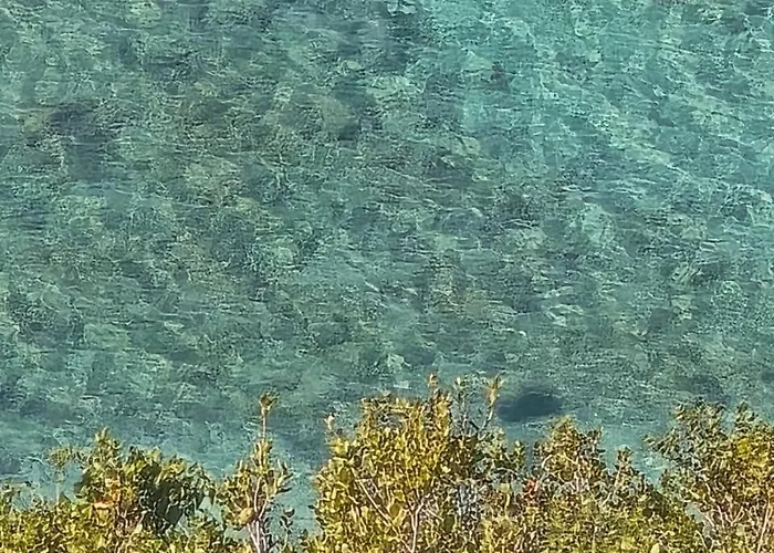 Luxury tent Cimarte The Path *