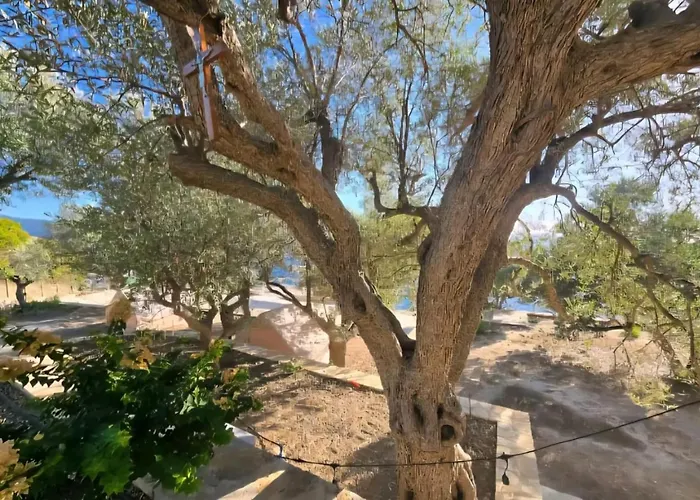 Luxury tent Cimarte The Path *